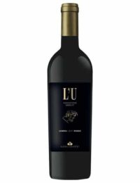 VNLUNGLUMBRIARS75CL.jpg